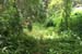 m07jungle