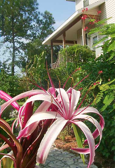 07ourgardens