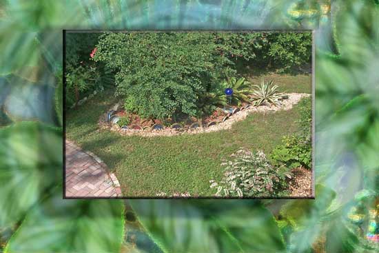 08ourgardenws