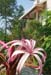 07ourgardens