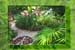 09ourgardenbs