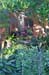 15ourgarden