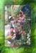 20ourgardenws