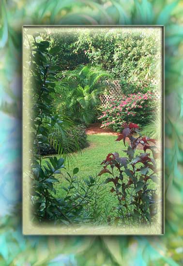 16ourgardenb
