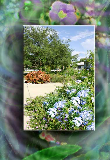 19ourgardens