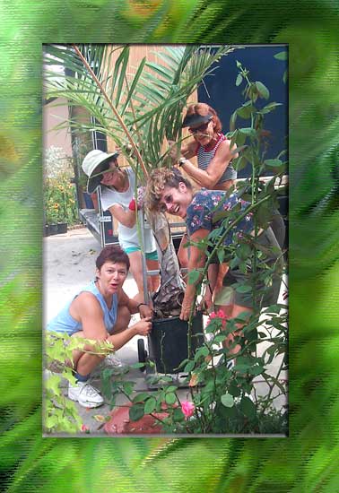 20ourgardenws