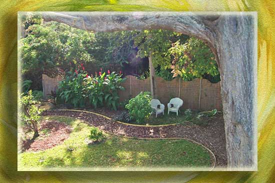 36ourgardenb